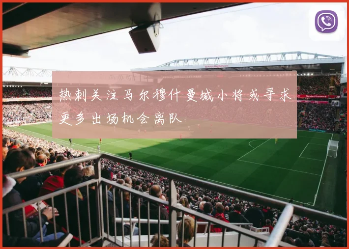 热刺关注马尔穆什曼城小将或寻求更多出场机会离队