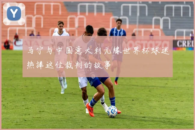马宁与中国意大利无缘世界杯球迷热捧这位裁判的故事